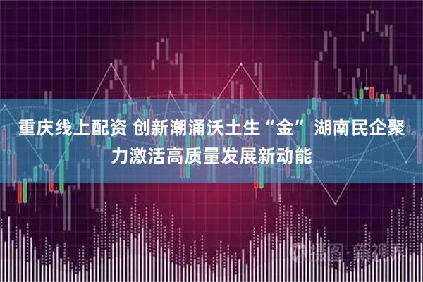 重庆线上配资 创新潮涌沃土生“金” 湖南民企聚力激活高质量发展新动能